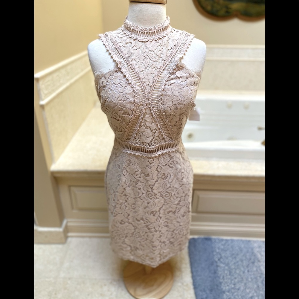 NWT Soieblu Unique Light Tan Lacey Sexy Fitted lace up dress Chic and Fab M